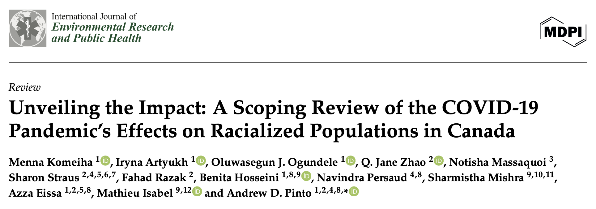 Screen capture from the journal website of the scoping review publication title and authors